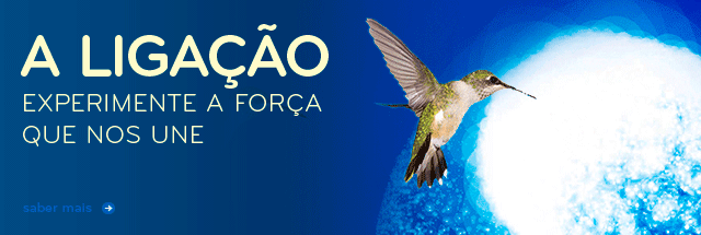 A Ligação de Lynne Mctaggart - www.wook.pt