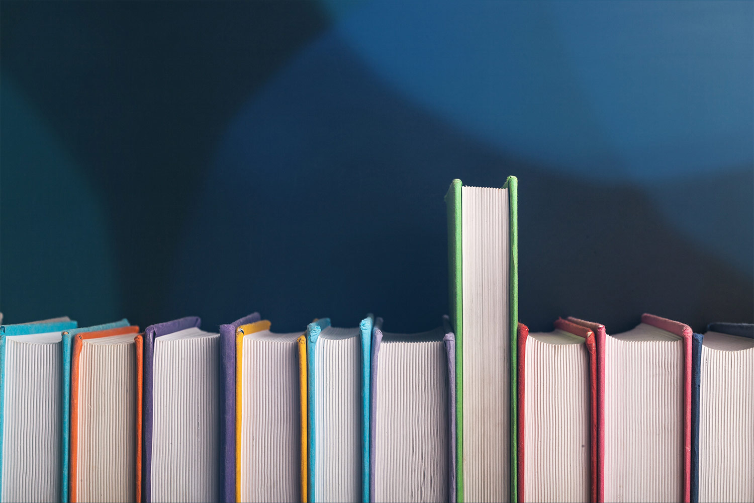 imagem ilustrativa de Dicas para manteres os livros escolares impecáveis!